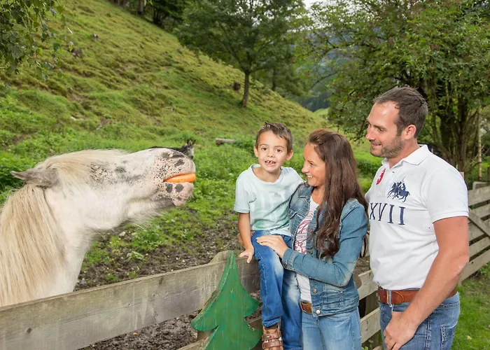 Stadt Wien Zell am See