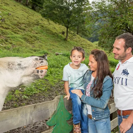 Stadt Wien Целль-ам-Зе