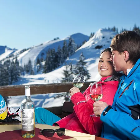 Stadt Wien Отель 4*