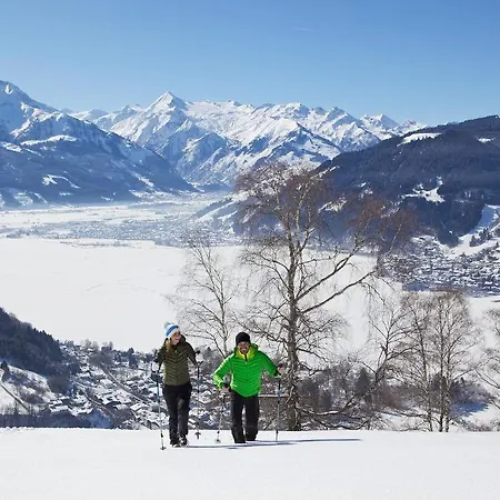 Stadt Wien Отель